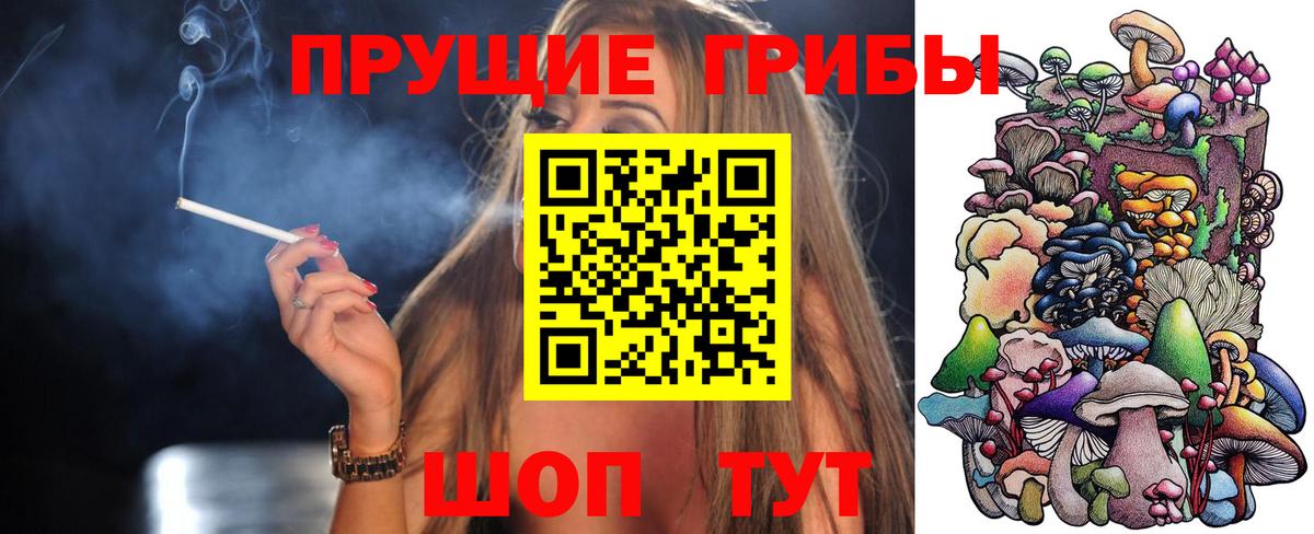Галлюциногенные грибы GOLDEN TEACHER  Вход с VPN  Азов  Псилоцибиновые грибы мицелий 