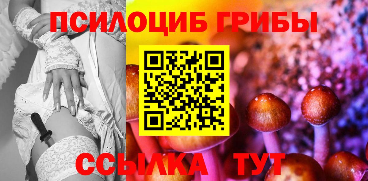 Галлюциногенные грибы Psilocybe Азов